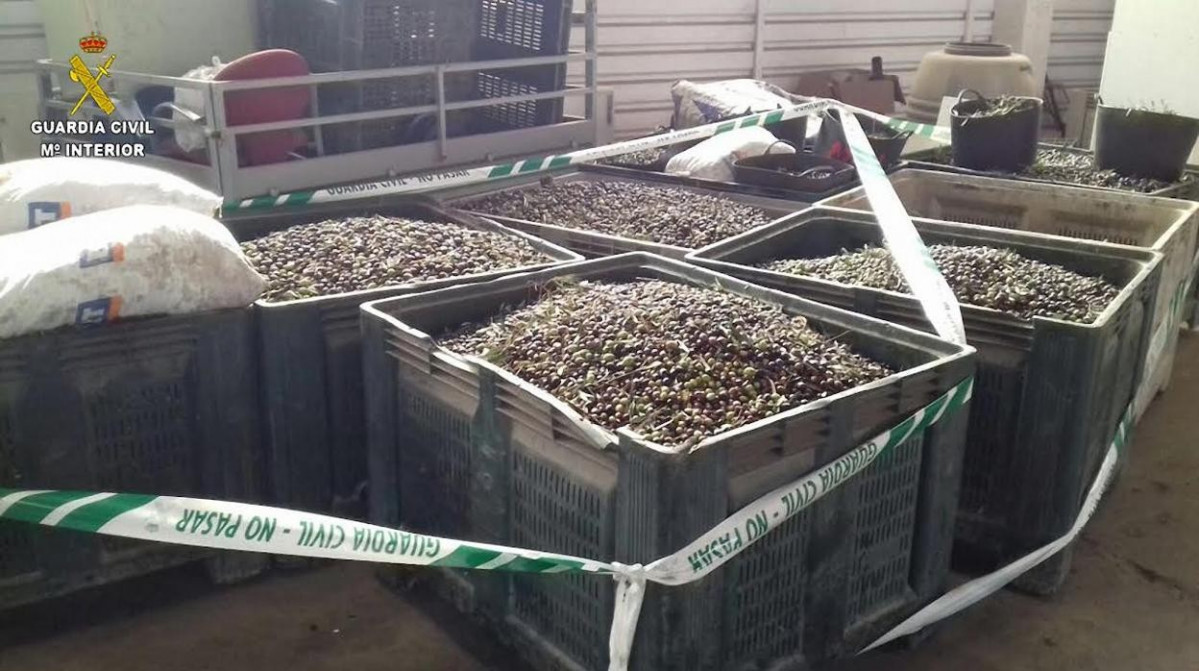 Robo aceitunas guardia kkf  1248x698@abc