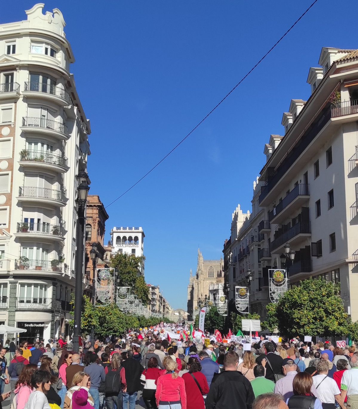 IMG 20221126 121247