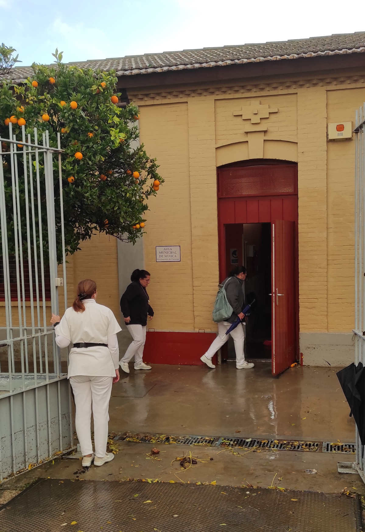 Hoy7