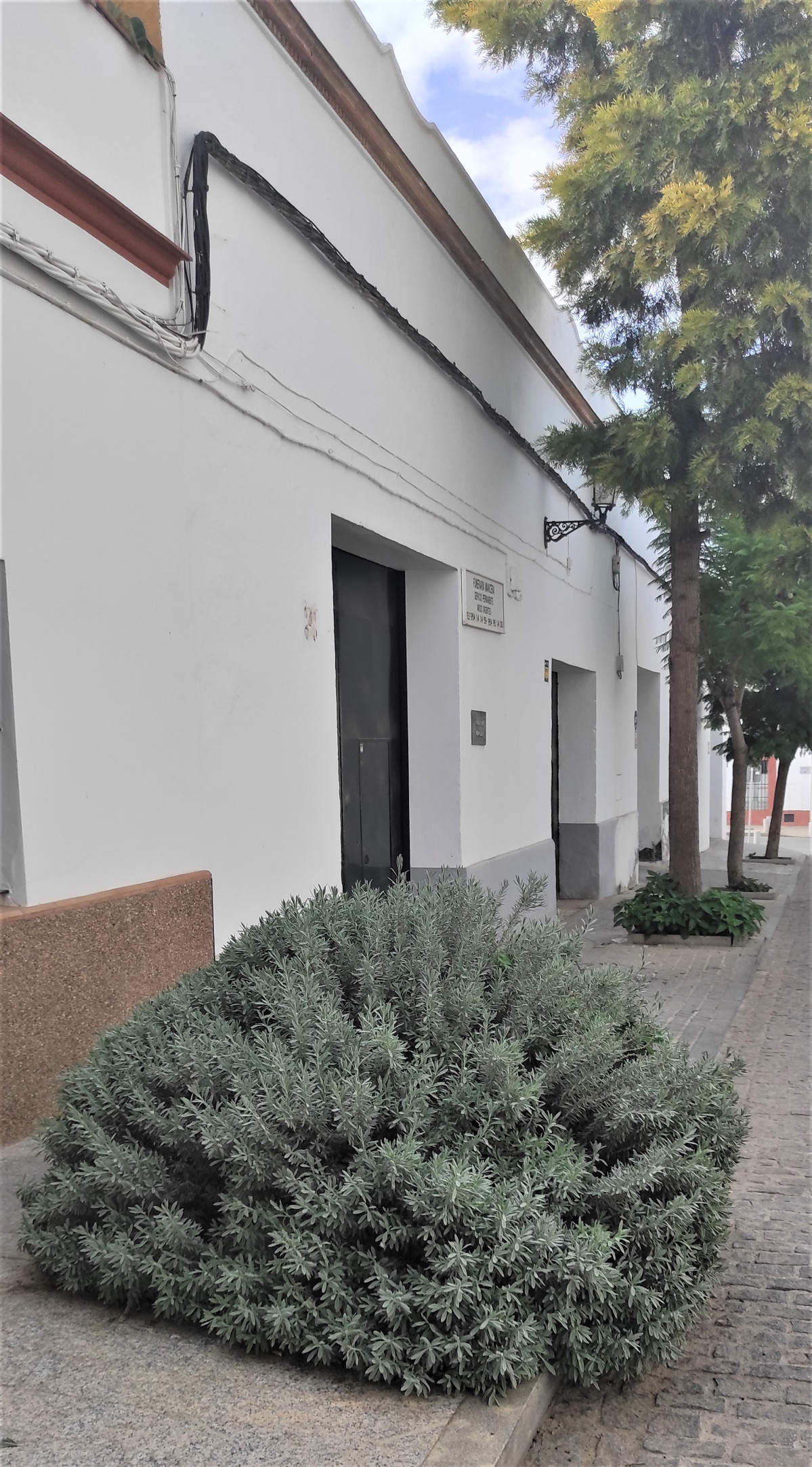 IMG 20221103 134834