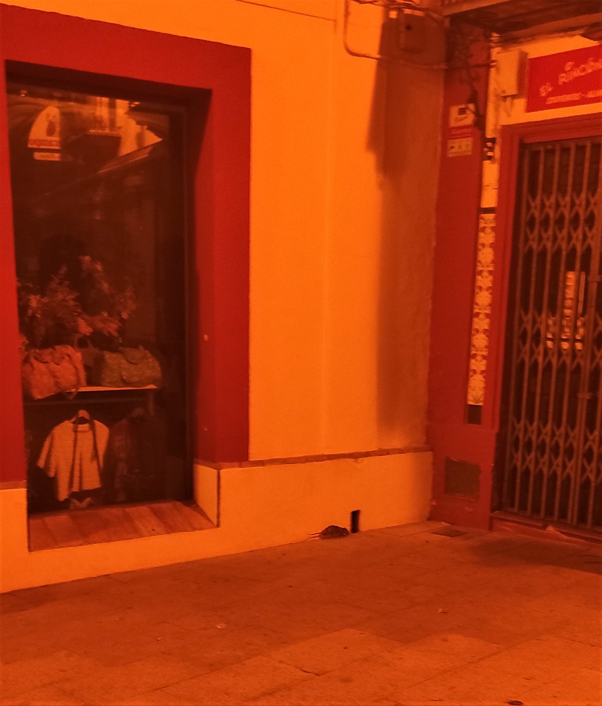 IMG 20221113 233635