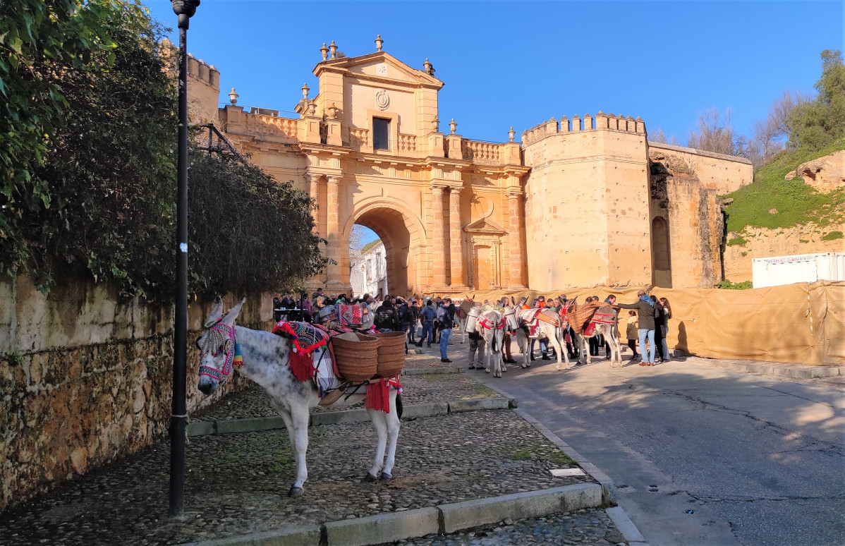 IMG 20230114 110022