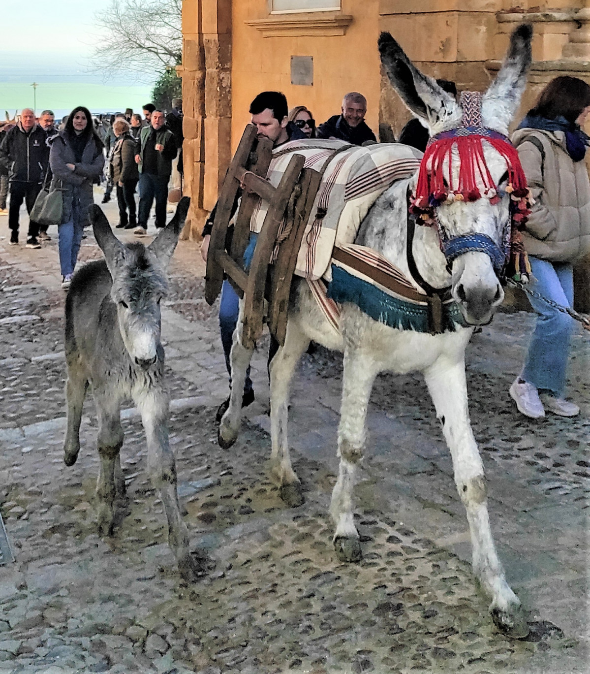 IMG 20230114 111442