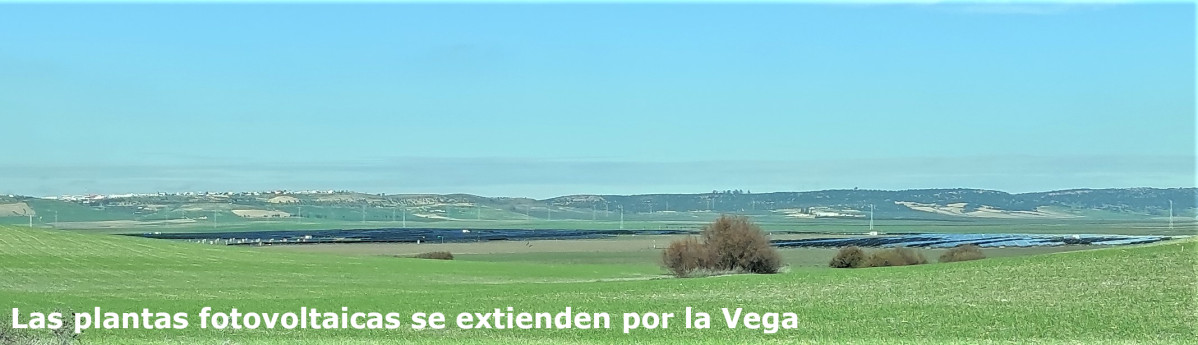 Vega01