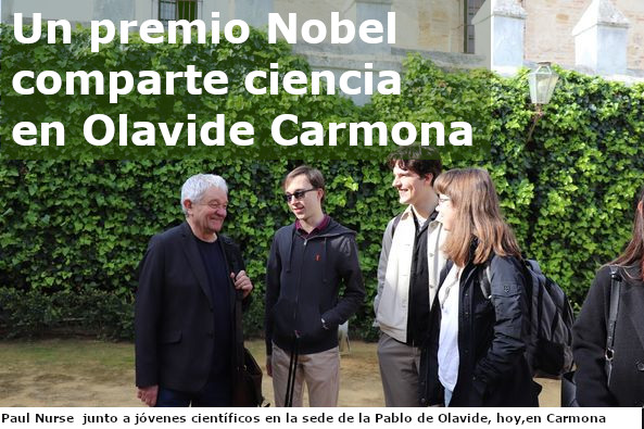 Olavide2
