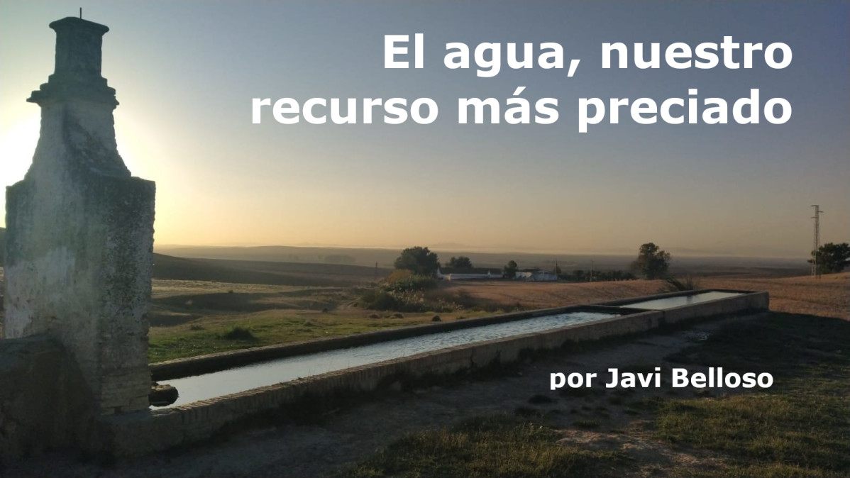 E5395d26 8959 415f aaec 018d7af19d8a   copia