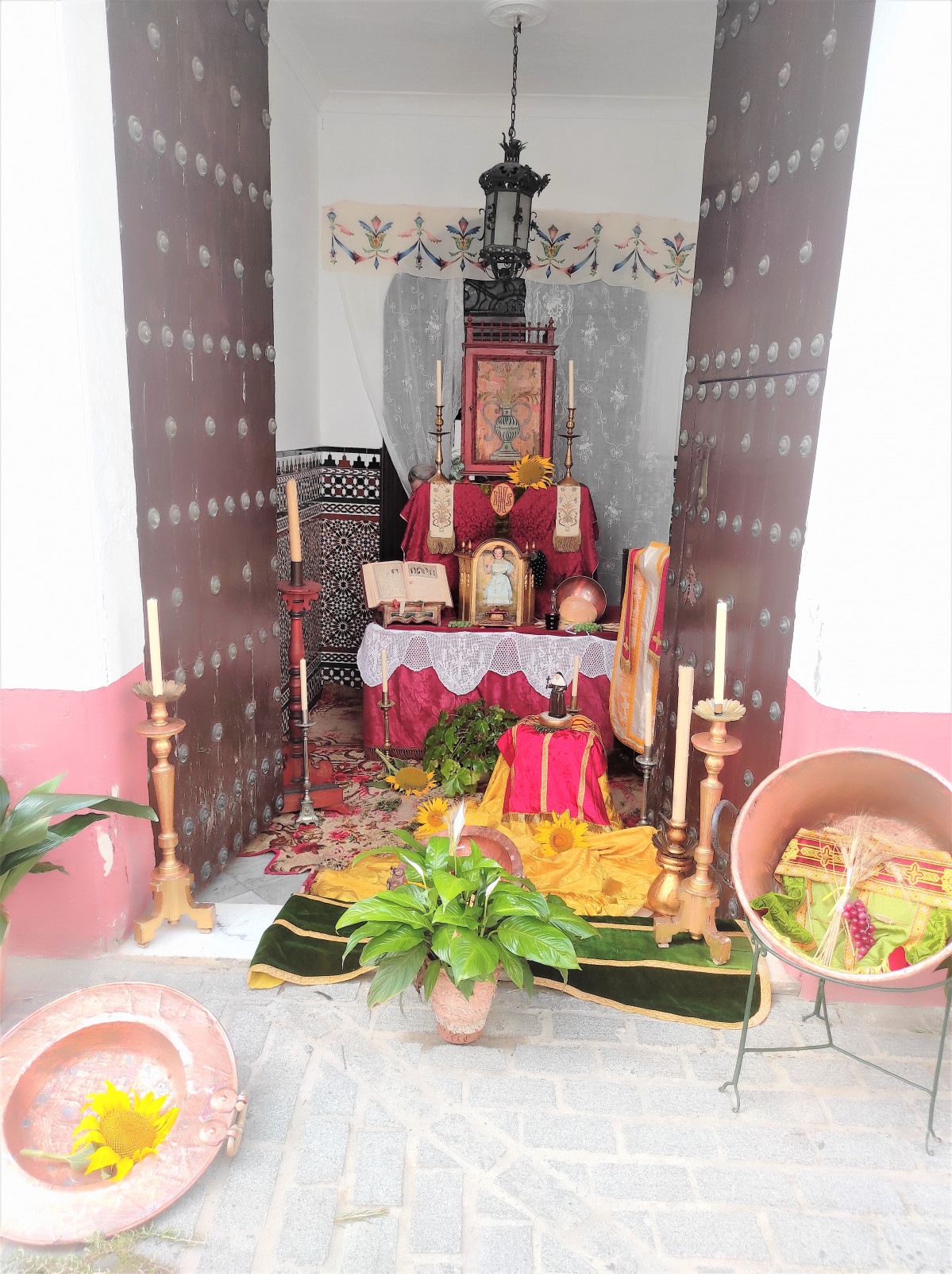 IMG 20230611 100159