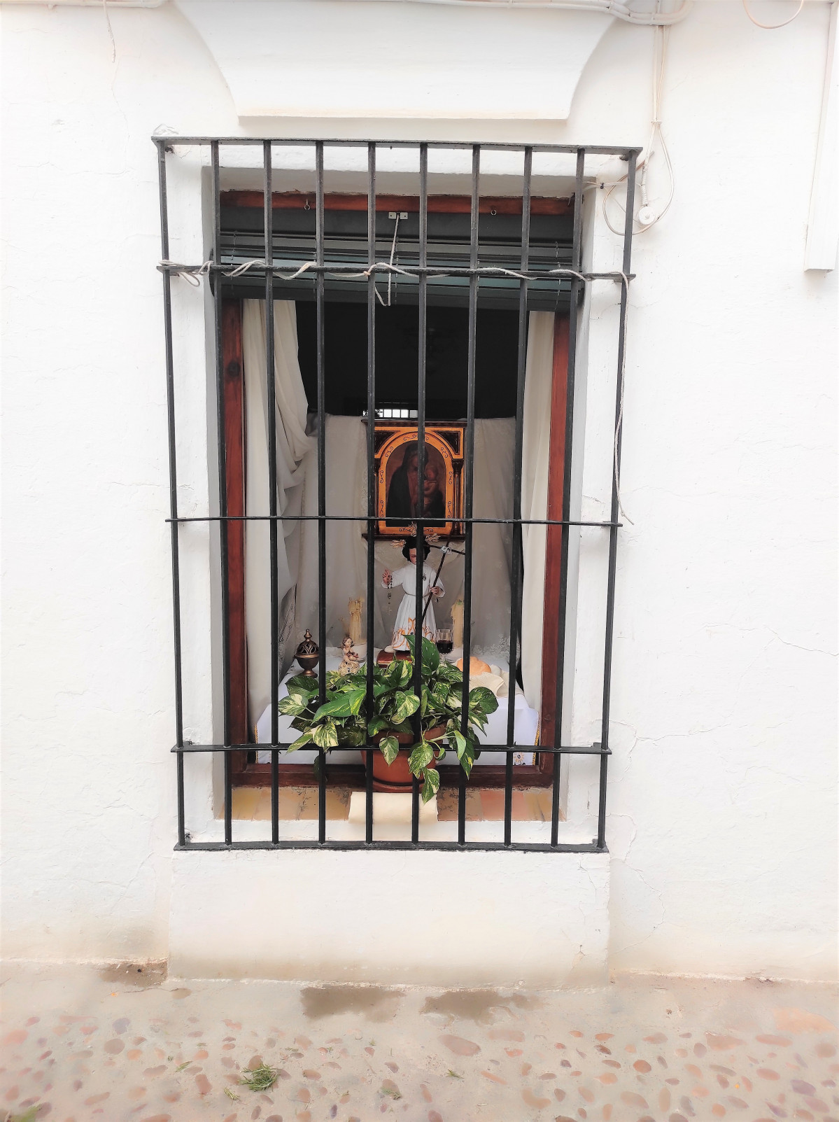 IMG 20230611 095946