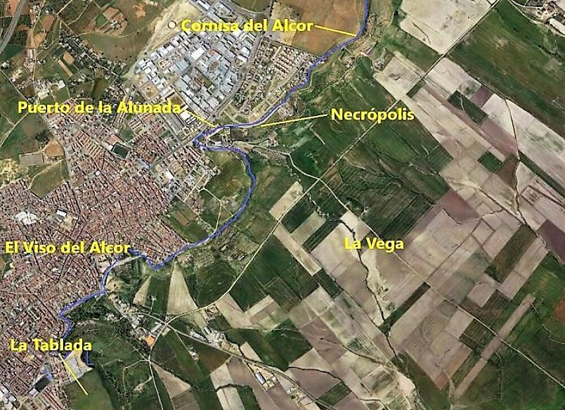 Hoy2