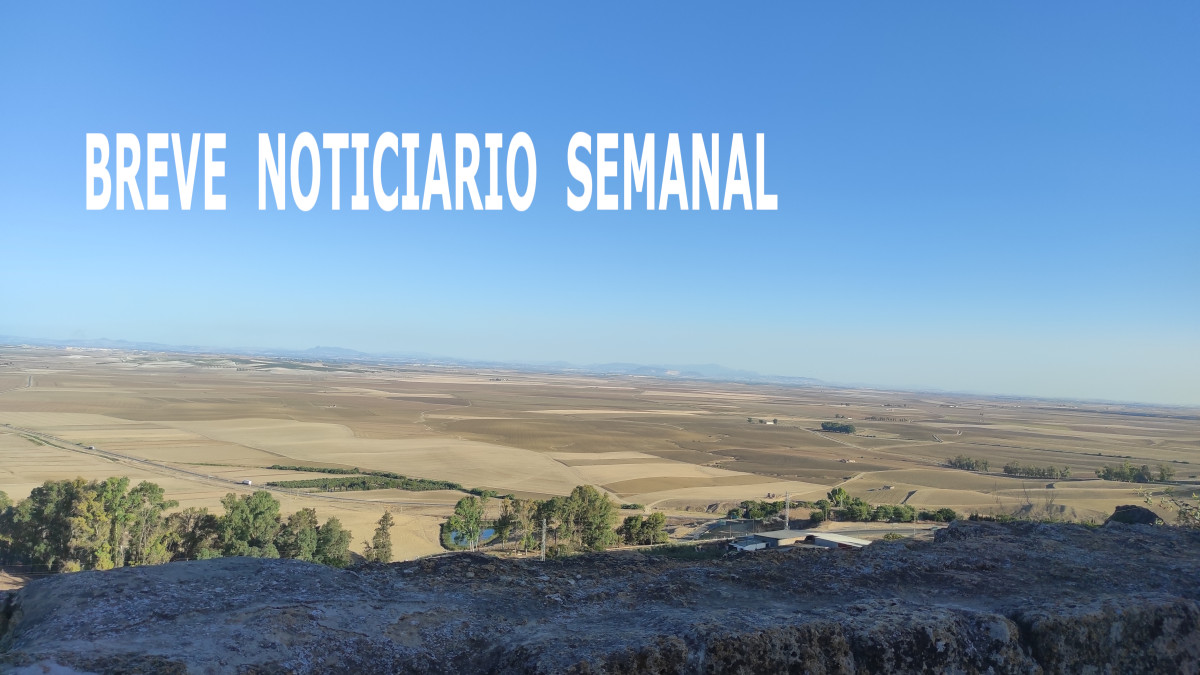 IMG 20230806 195150