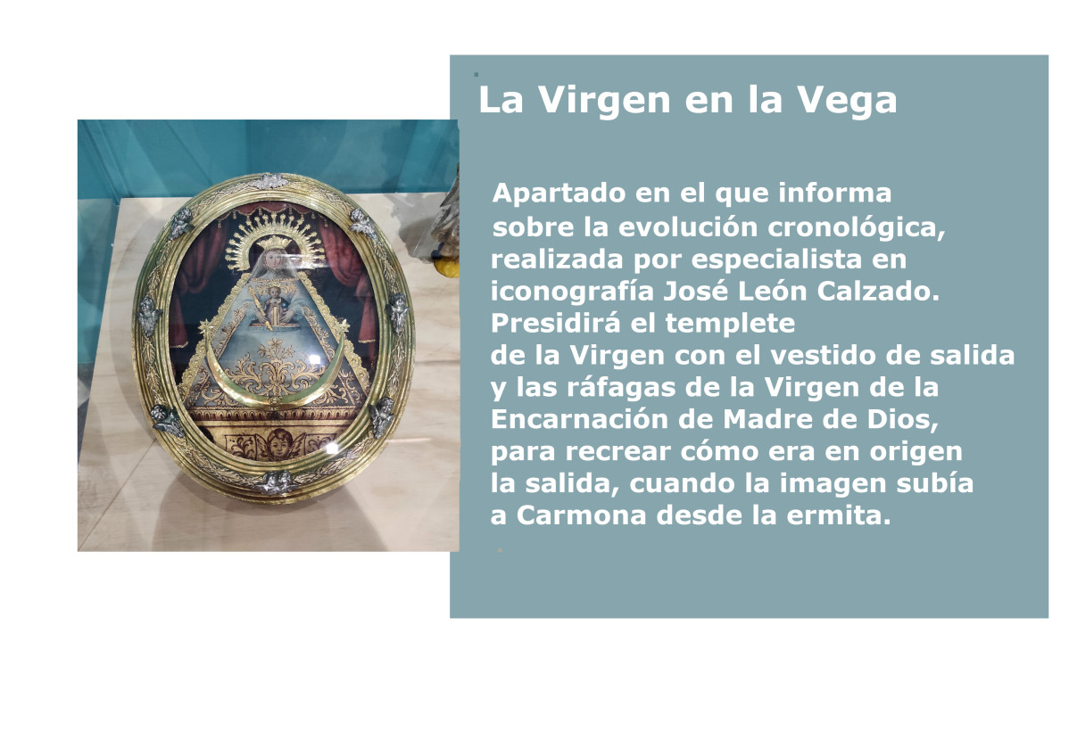 Vi4