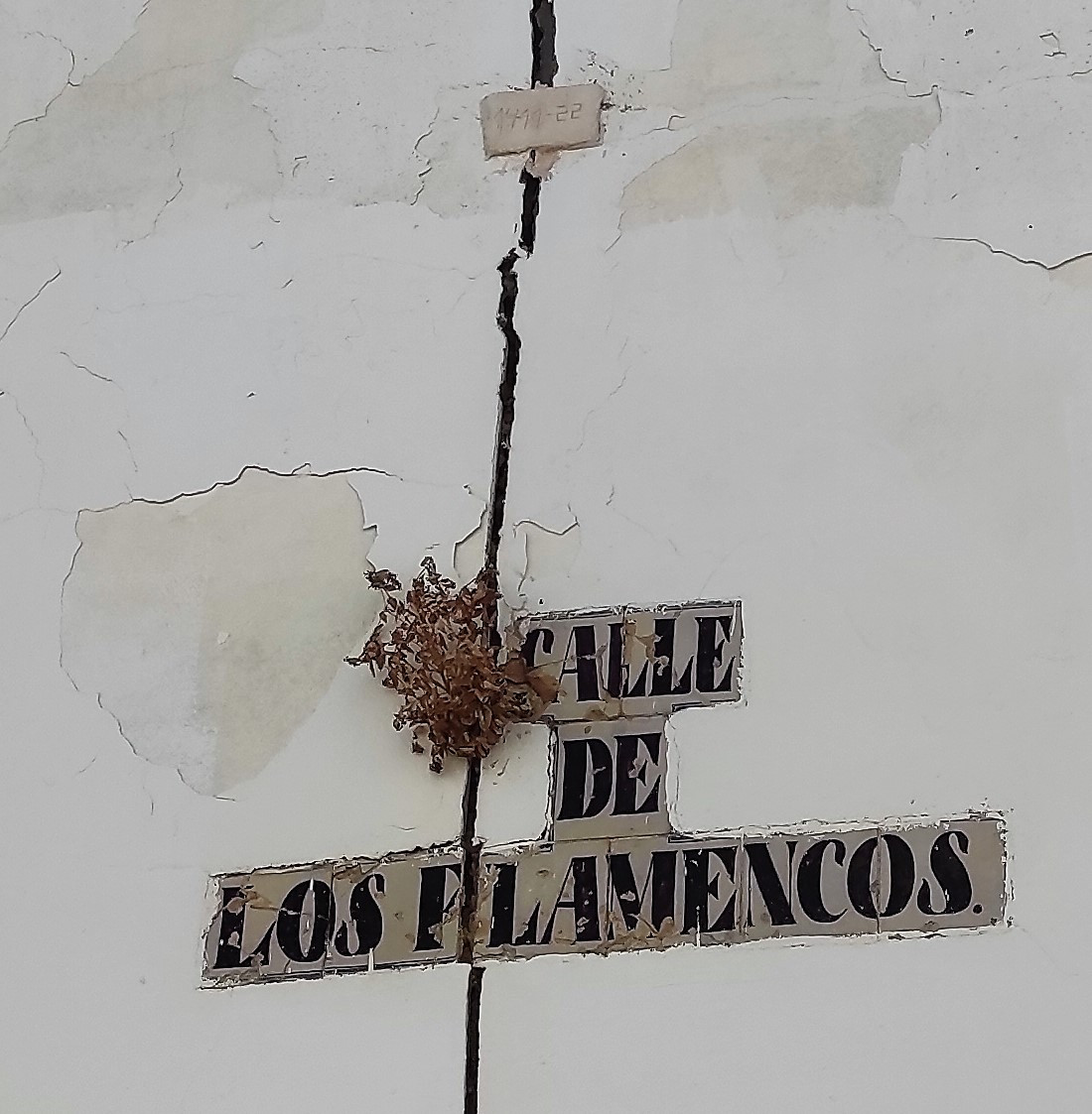IMG 20230712 122745