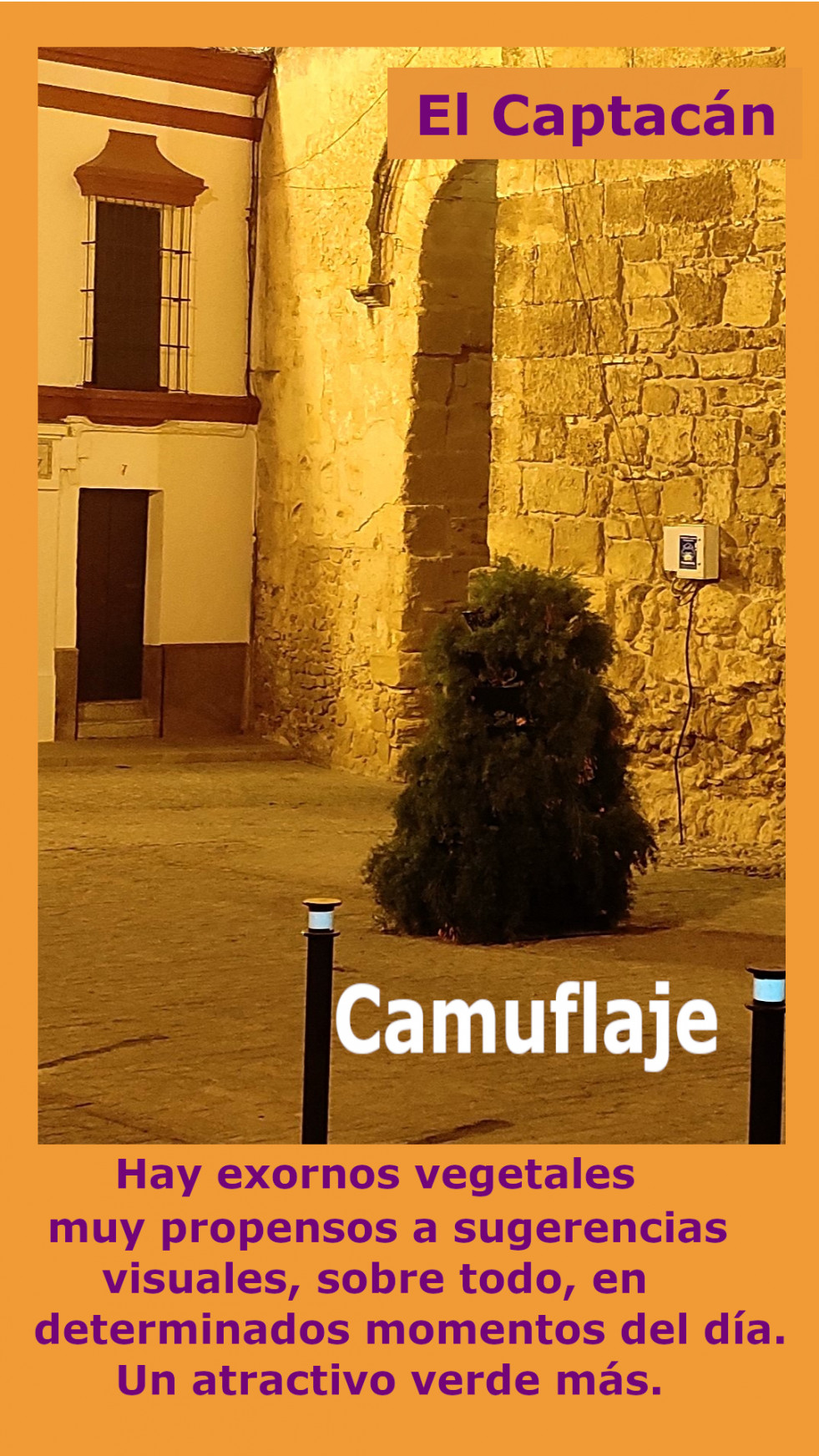 Camuflaje