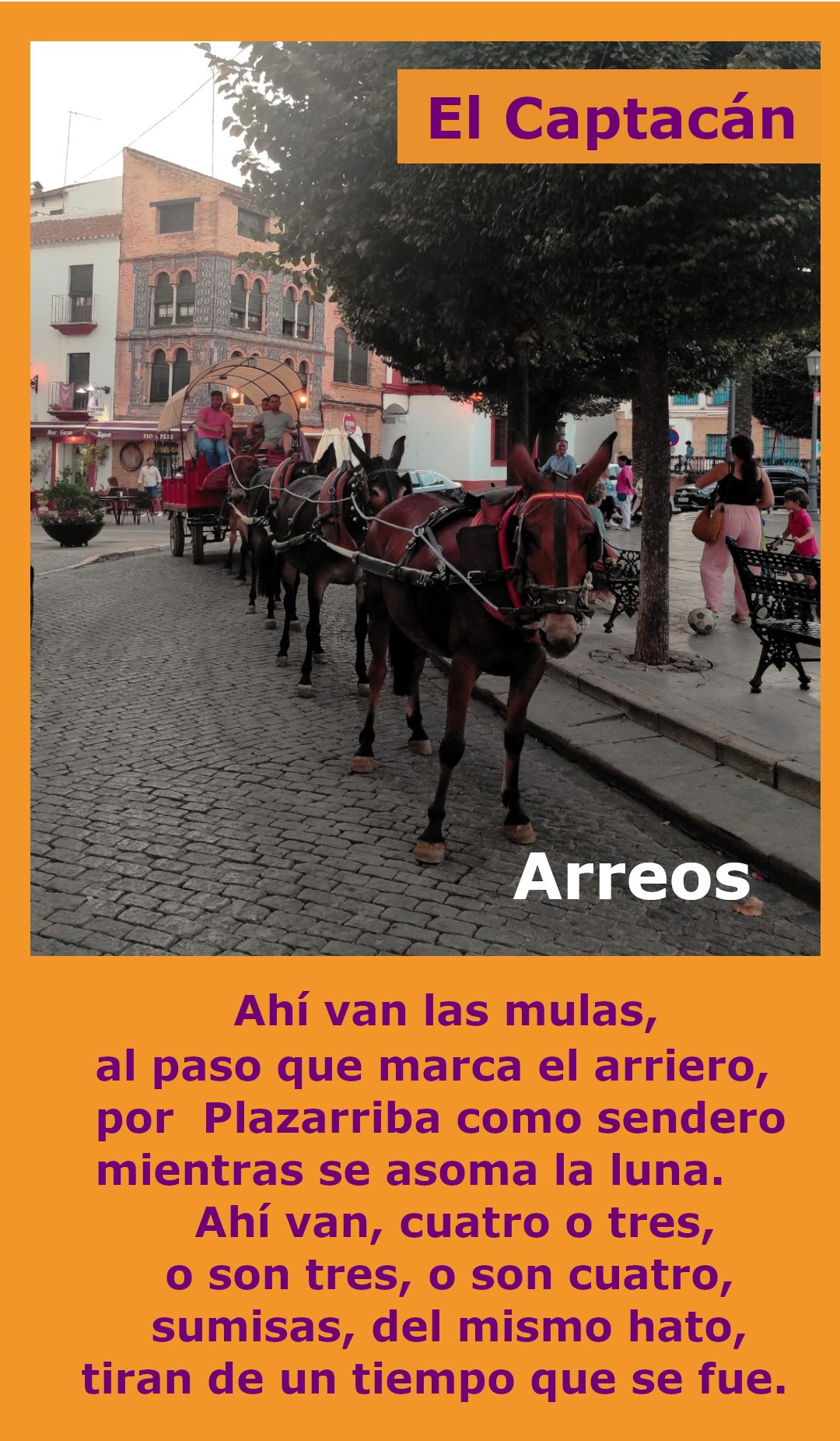 Arreos