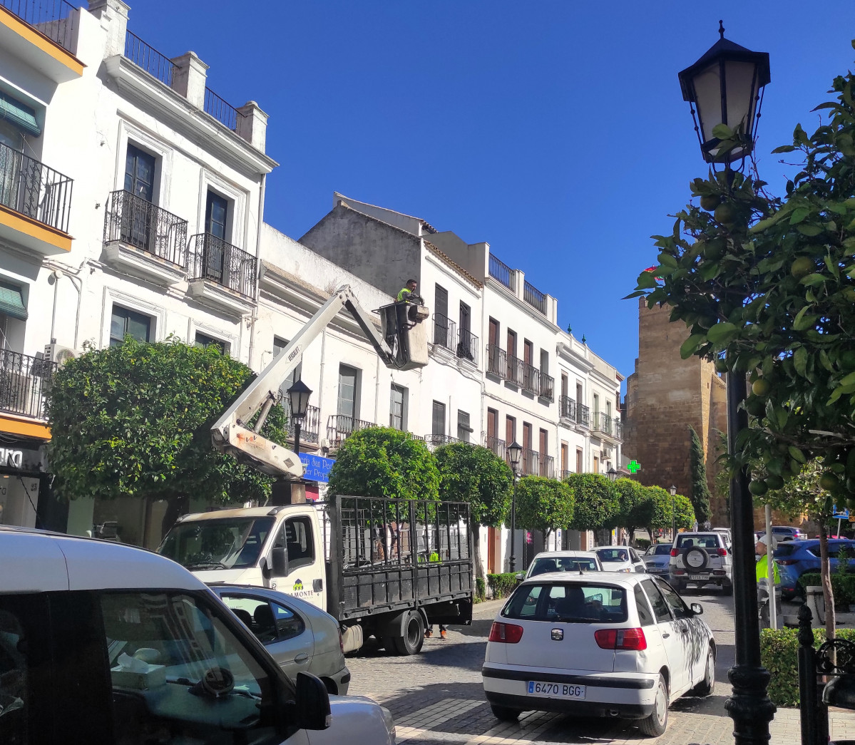 IMG 20231024 130915