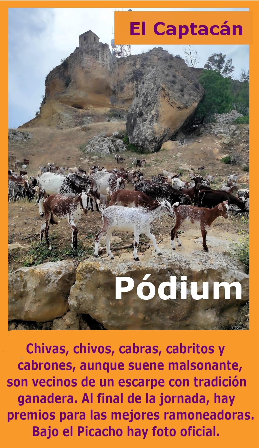Pu00f3dium