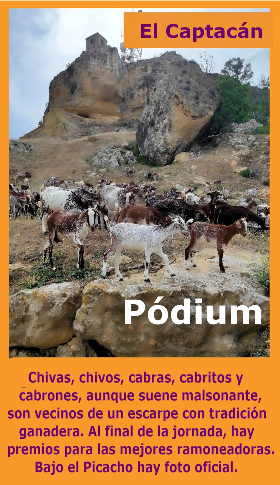 Pódium