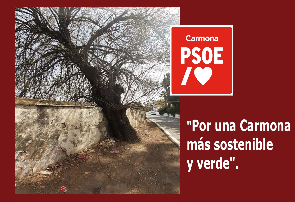 Sin nombre