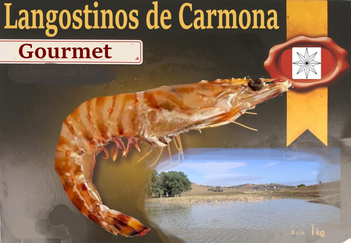 Langostino2