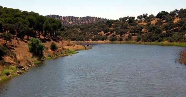 Presa de huesna cola 620x436