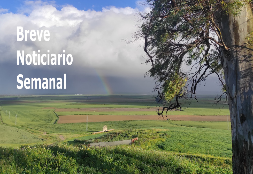 Breve portada