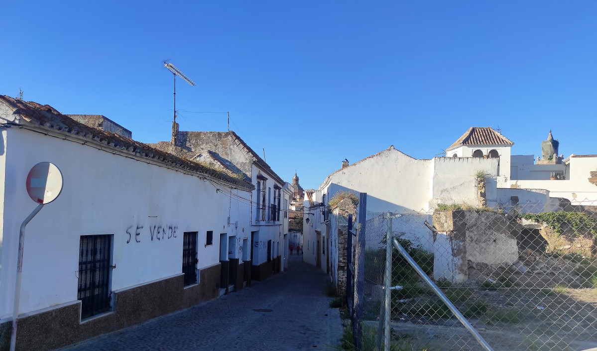 IMG 20240423 193422