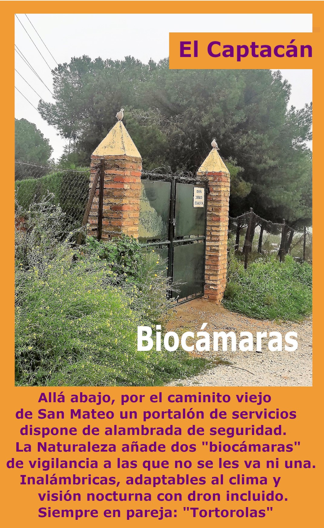 Biocu00e1maras