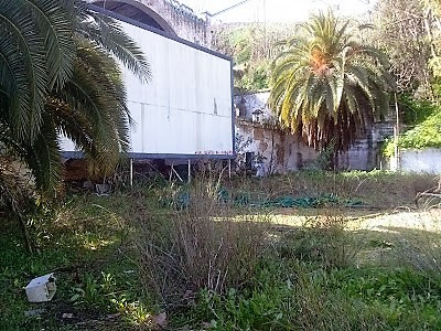 Cine Rialto4