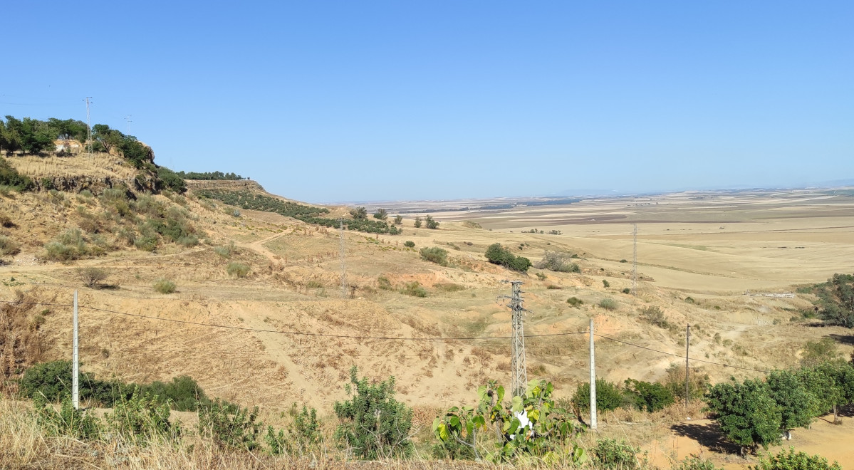 Portada2