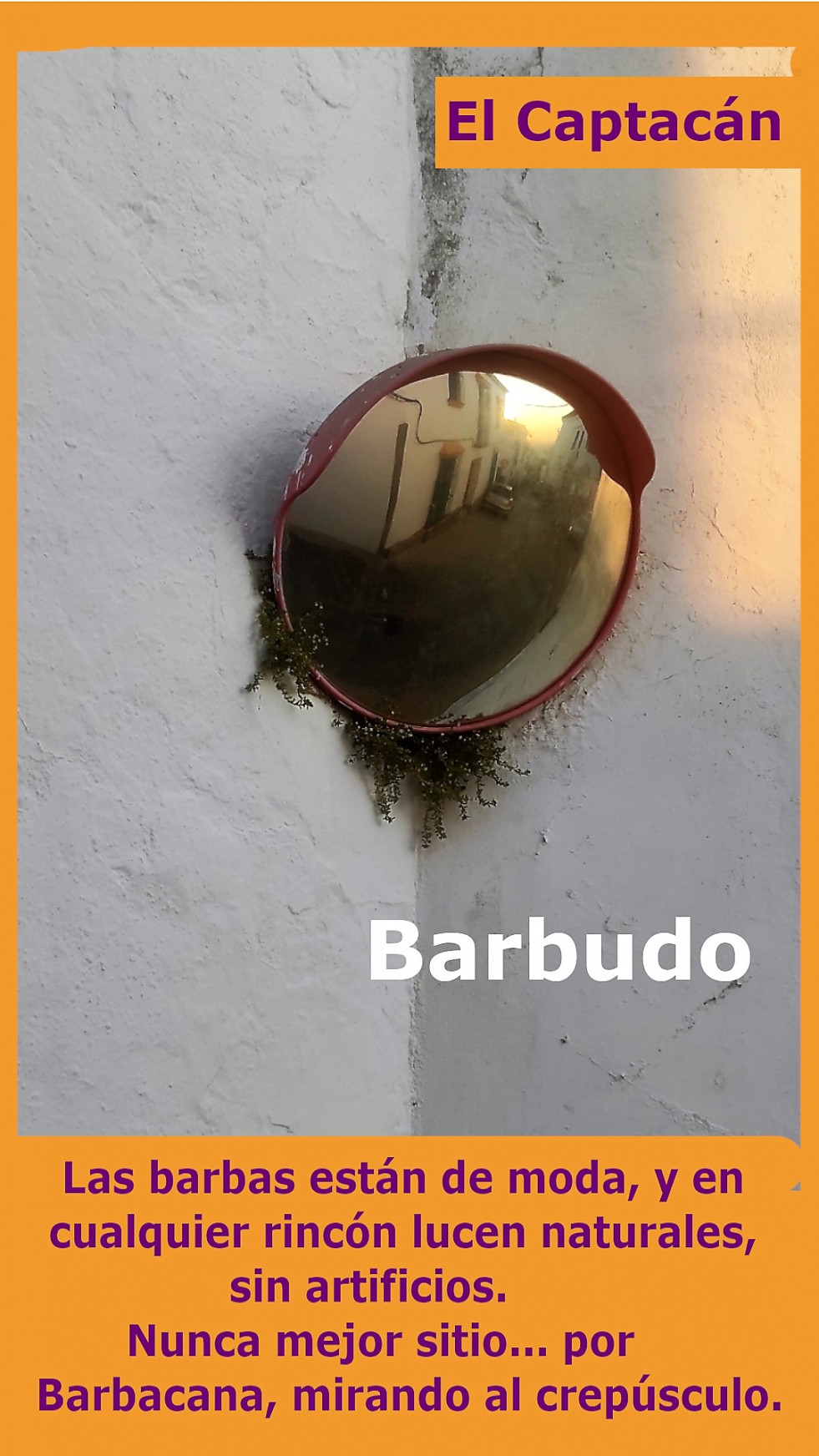 Barbudo