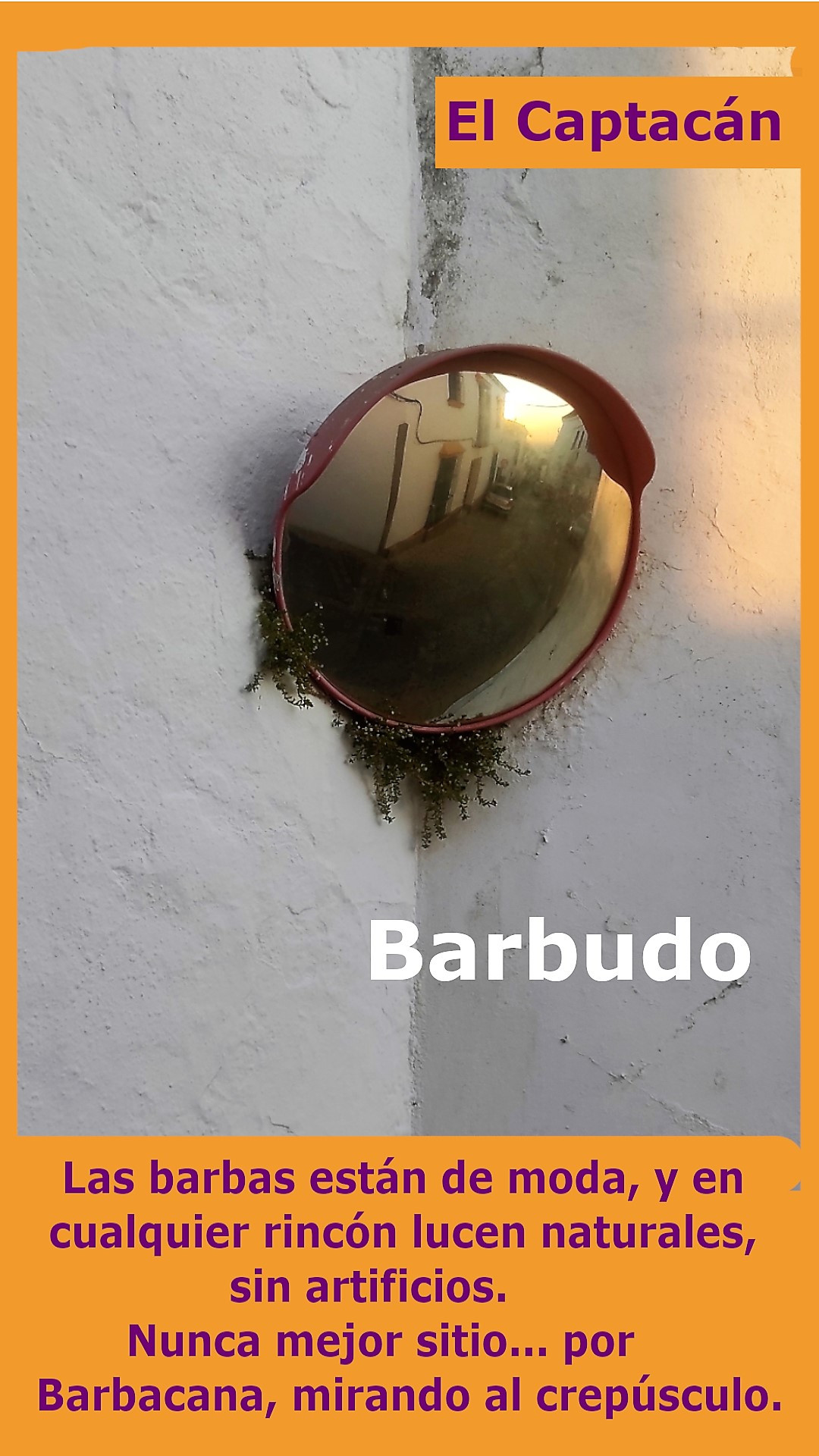 Barbudo
