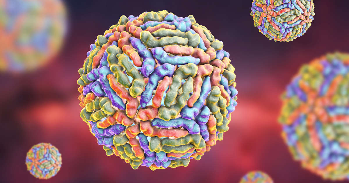 Virus del nilo occidental 53a2e3e1 240806141526 1200x630