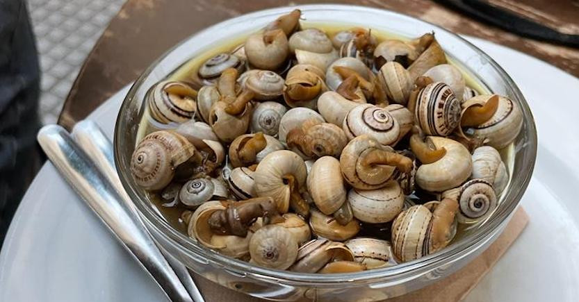 Caracoles elcanon