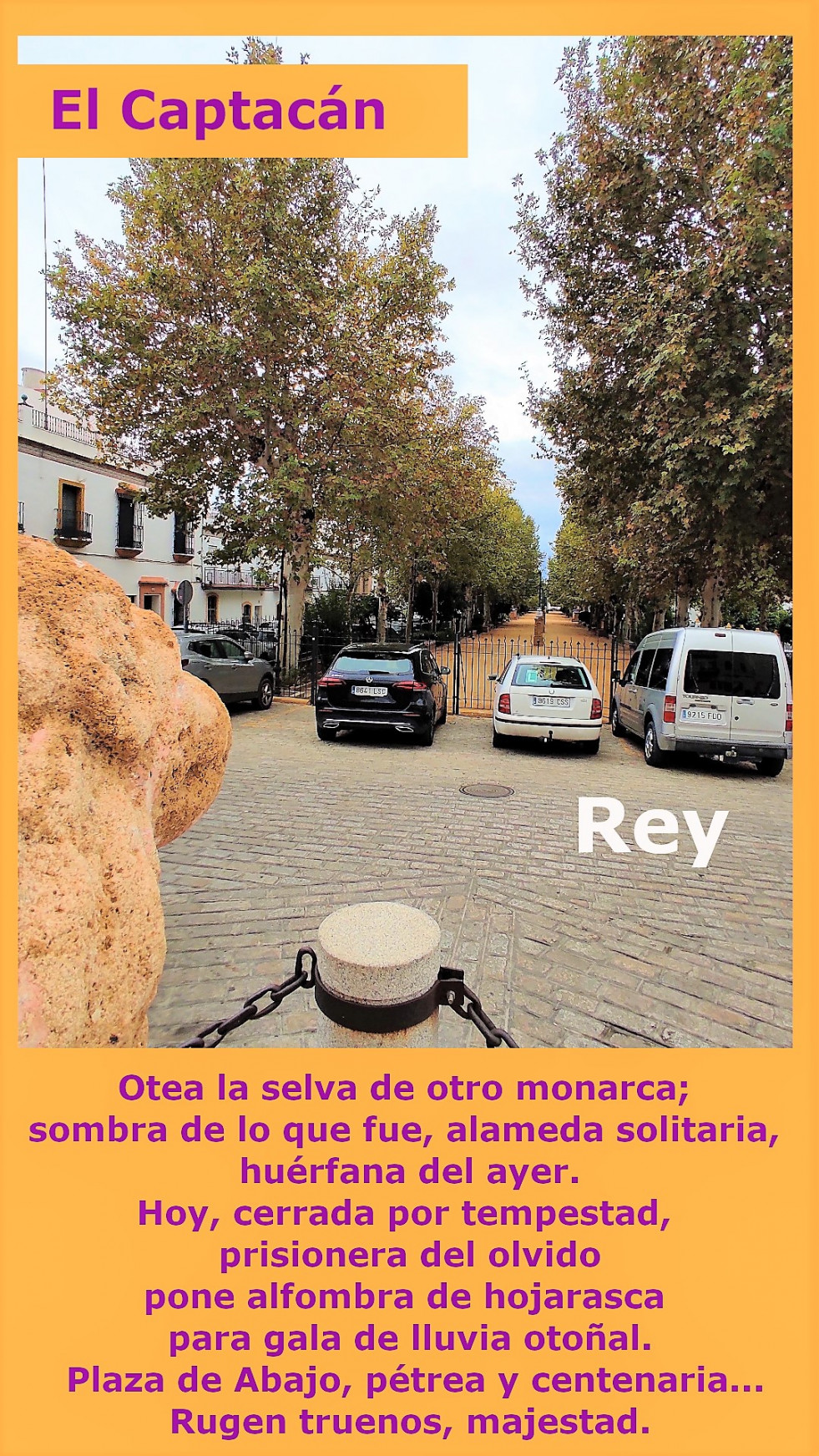 Rey