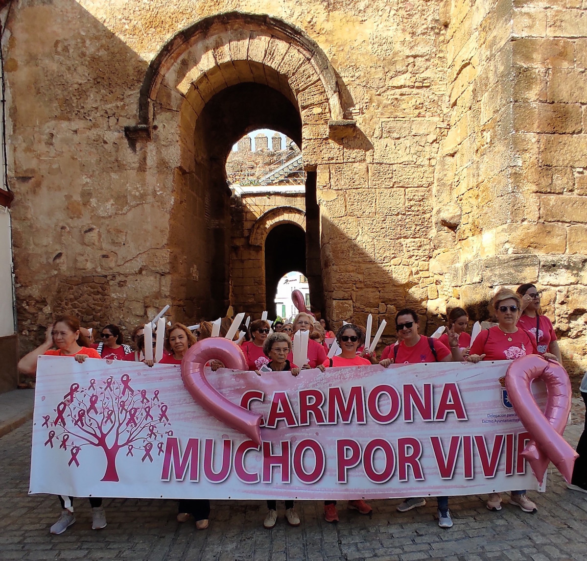 IMG 20241020 124603