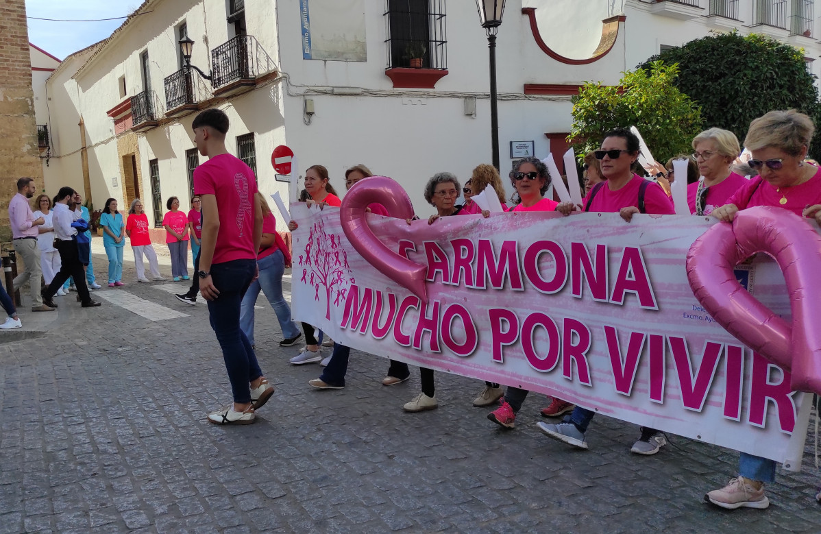 IMG 20241020 124011