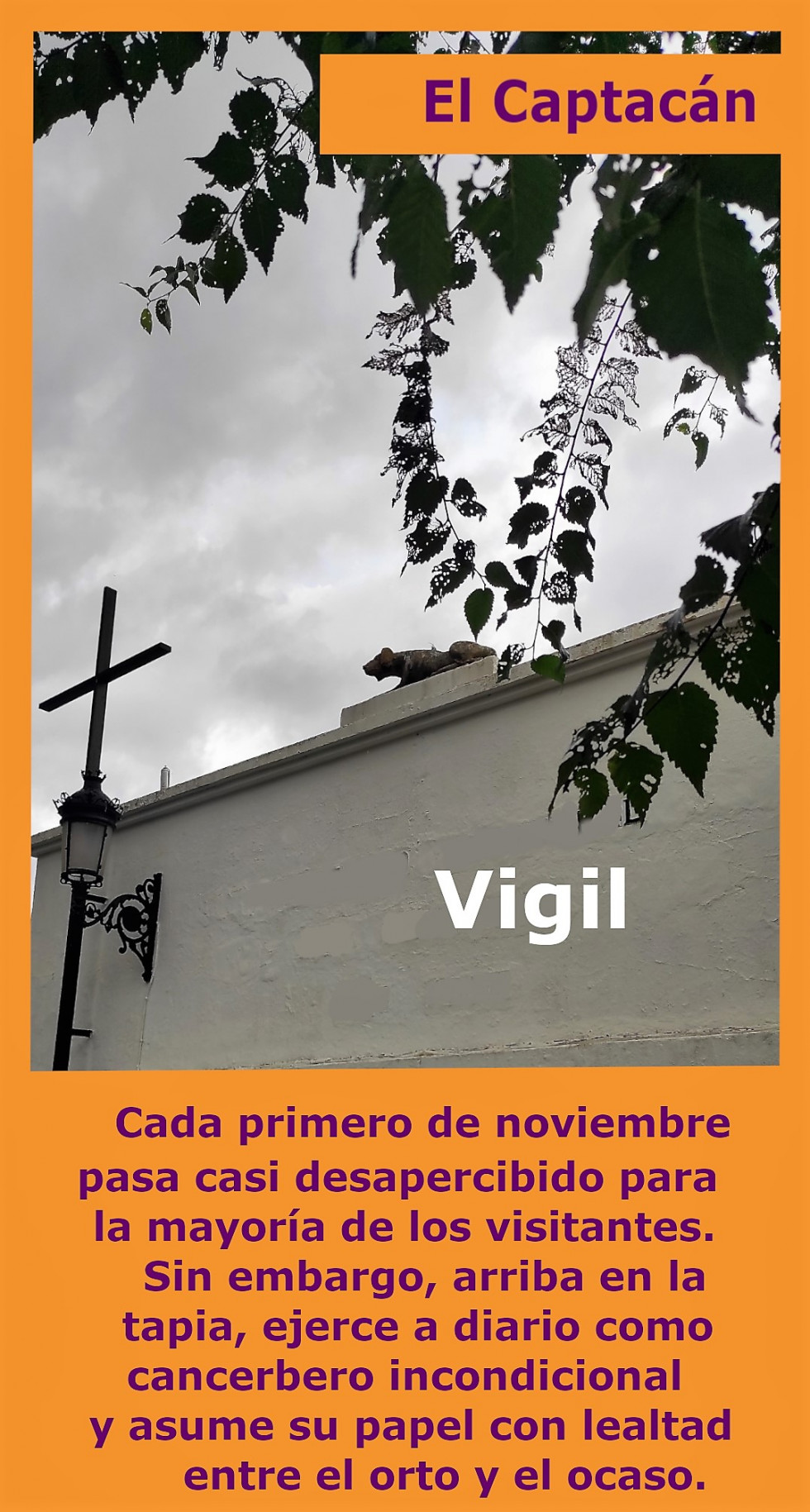 Vigil