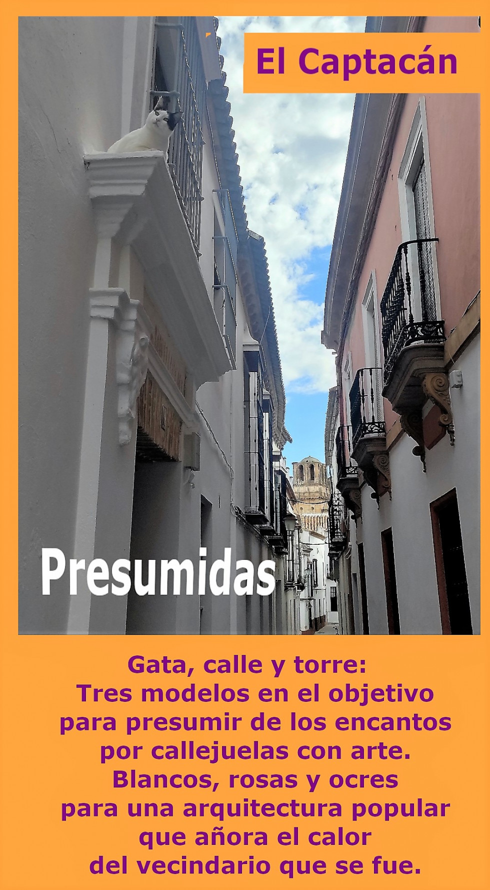 Presumidas vale