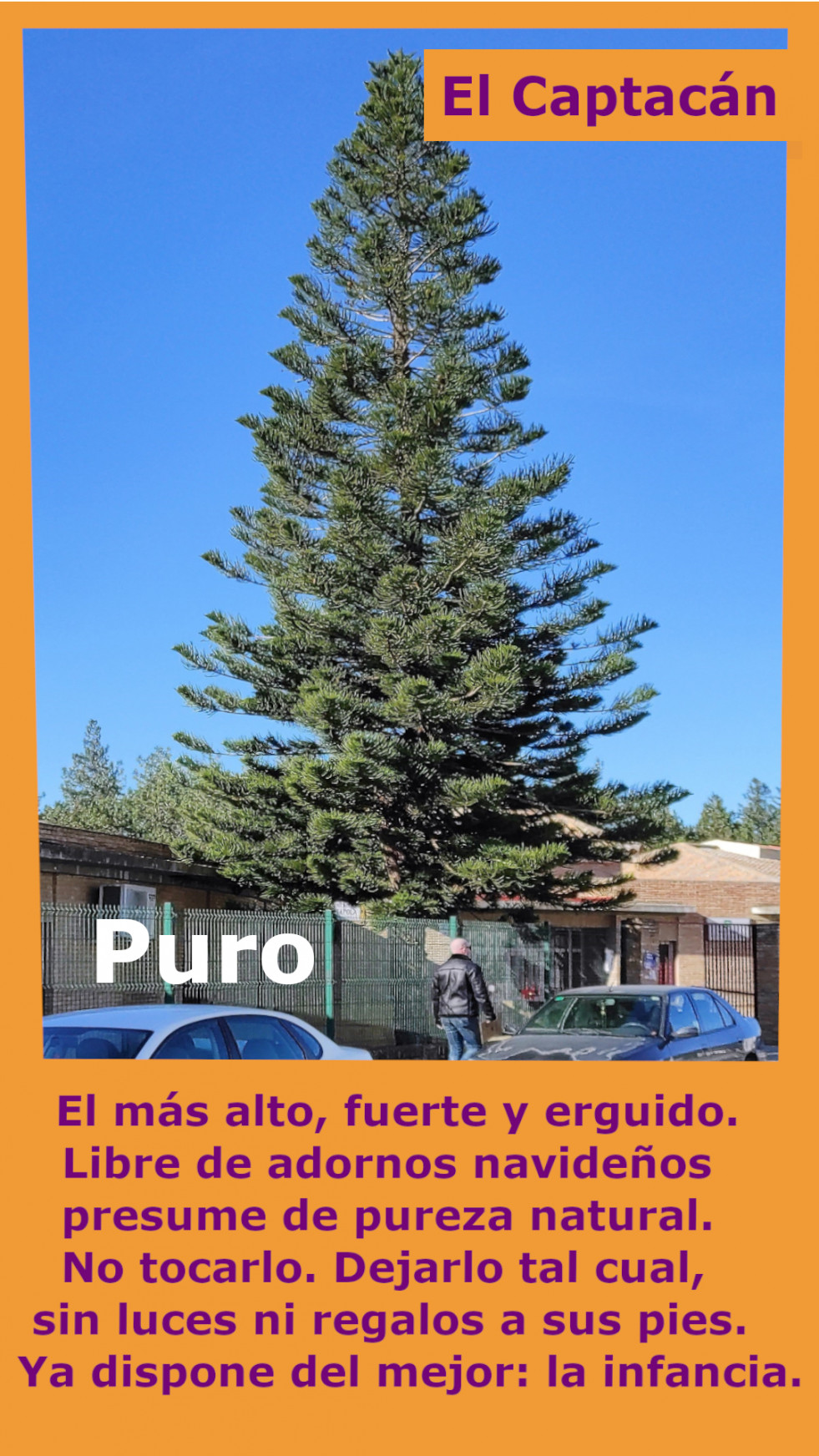 Puro