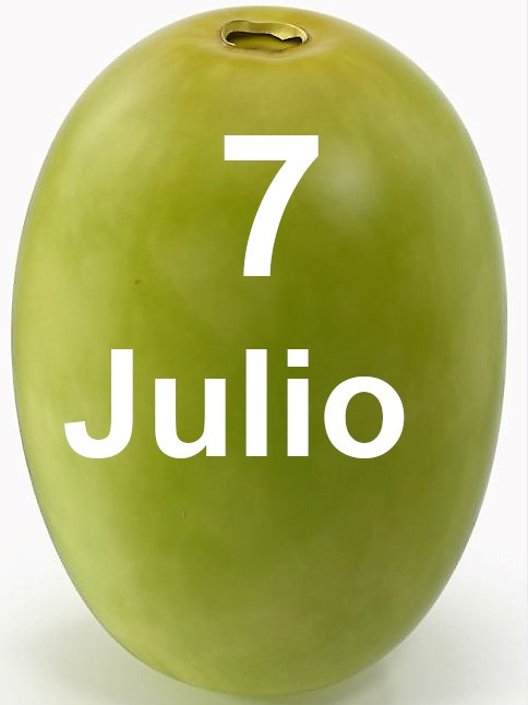 Julio