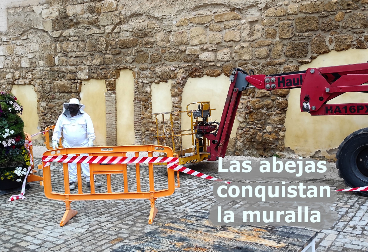 Sin nombre