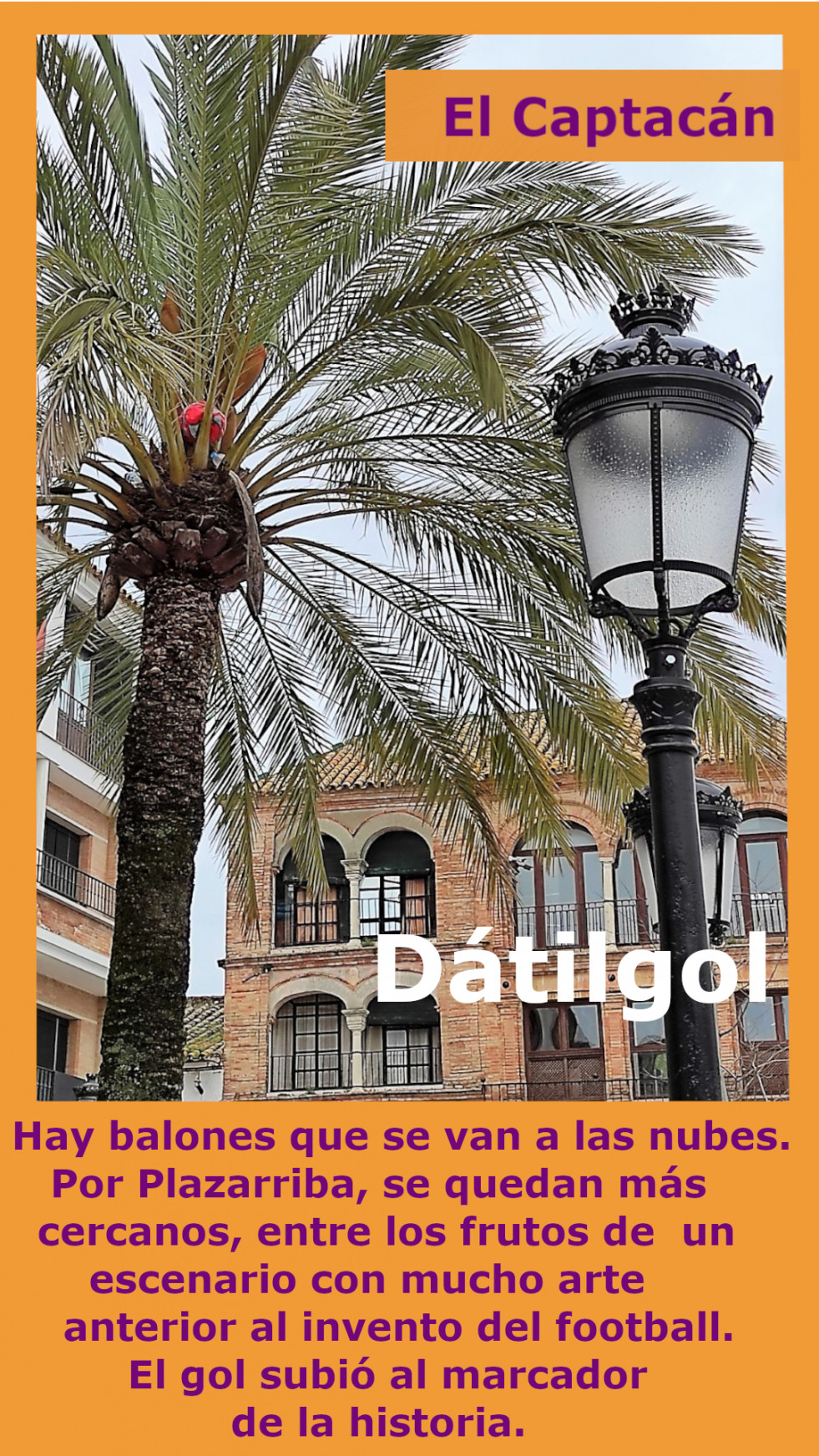 Dátilgol