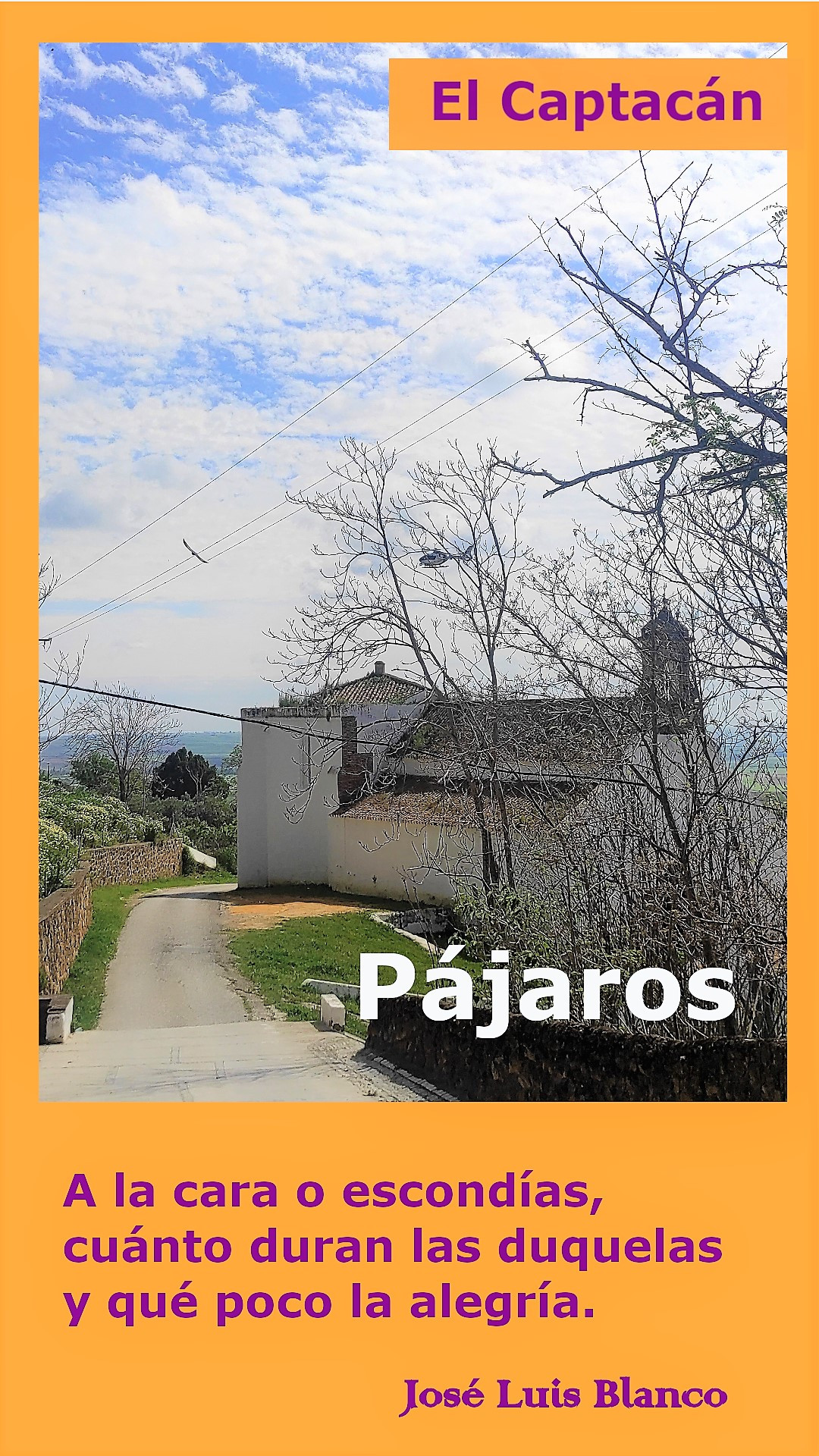 Pu00e1jaros0