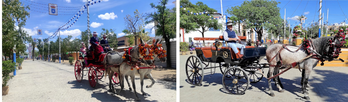 Carros