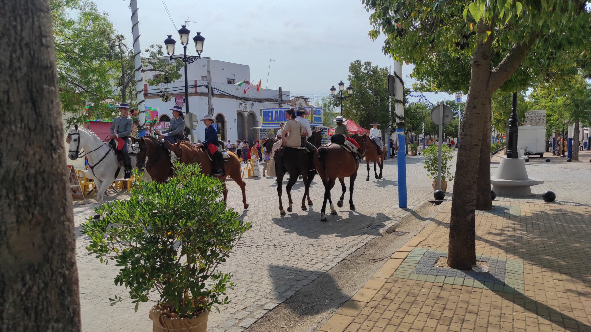 IMG 20250517 174722