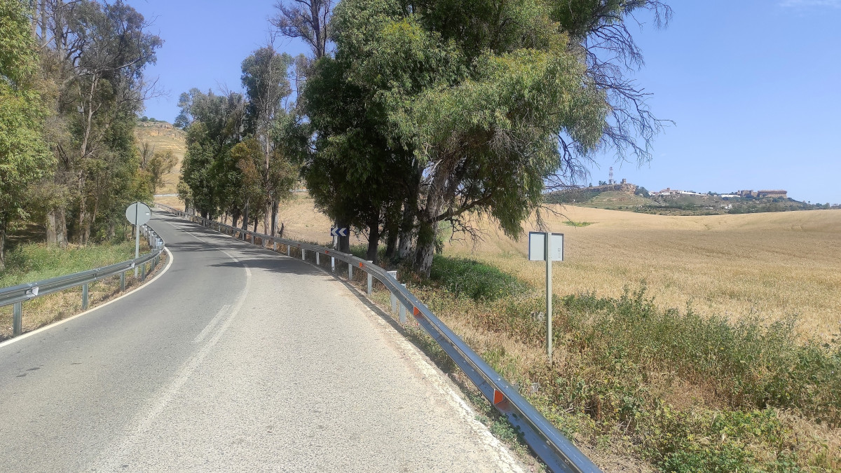 IMG 20250518 115248