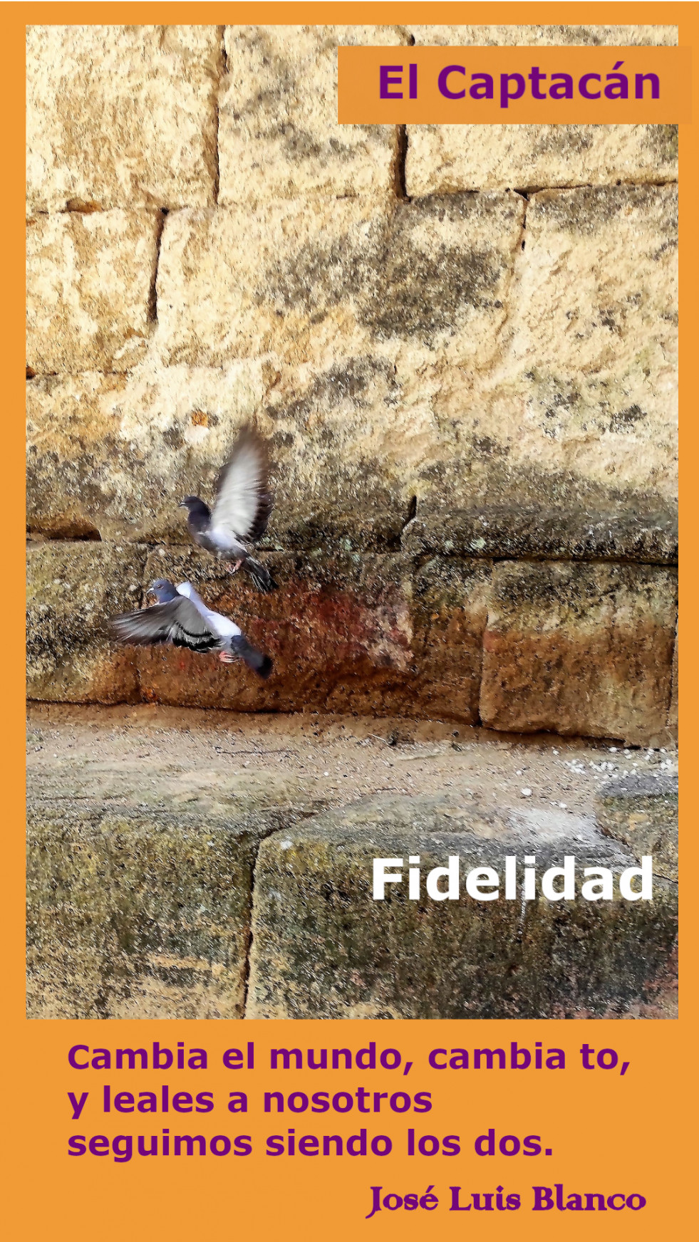 Fidelidad