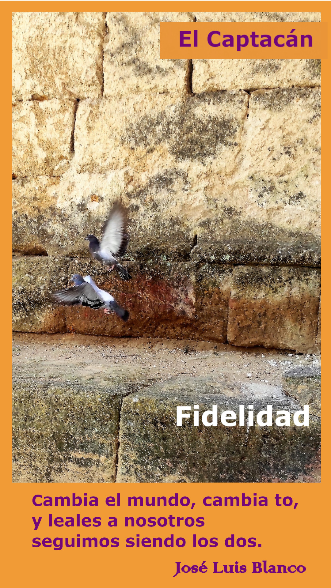Fidelidad