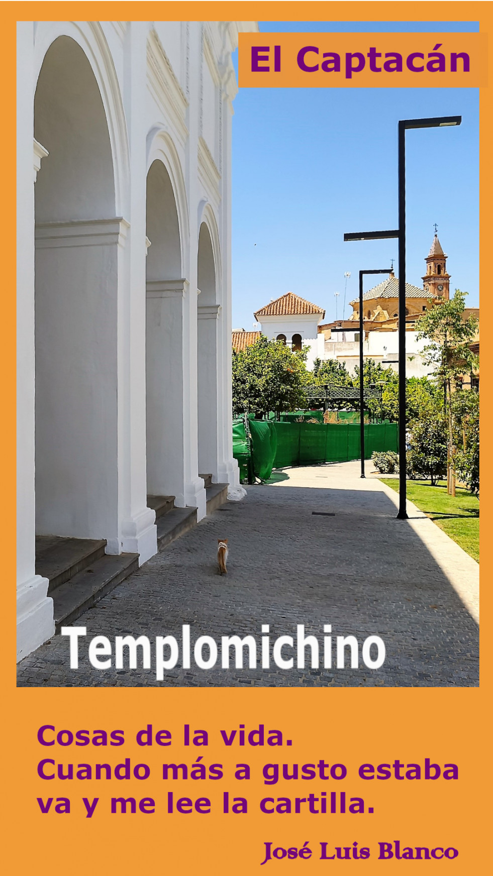 22.  Templomichino