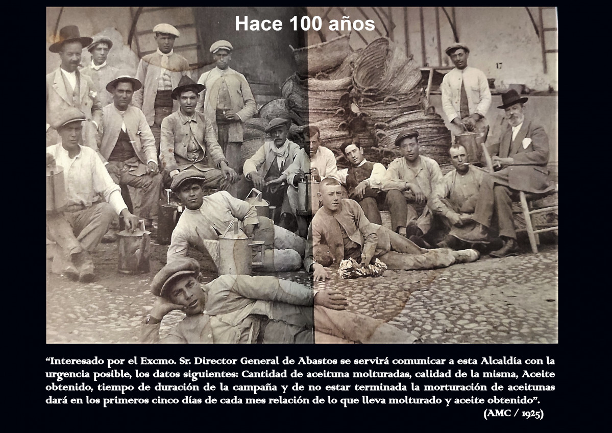113b   copia